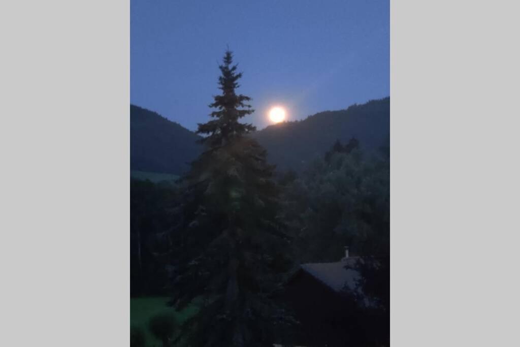 Gite Vallee Verte Burdignin المظهر الخارجي الصورة