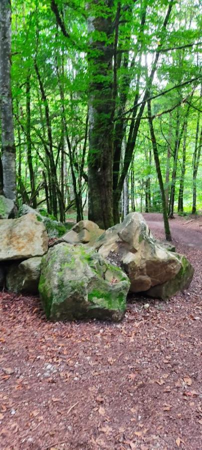 Gite Vallee Verte Burdignin المظهر الخارجي الصورة
